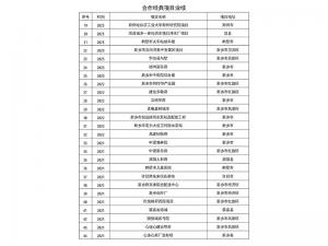 合作经典项目业绩