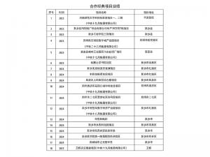 合作经典项目业绩